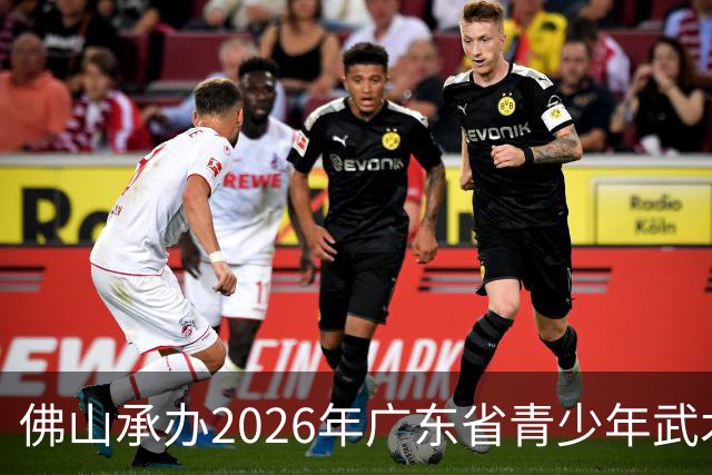 佛山承办2026年广东省青少年武术套路锦标赛