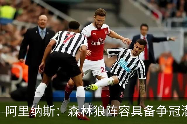 阿里纳斯：森林狼阵容具备争冠潜力，关键在于磨合速度